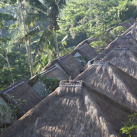 Tejaprana Resort & Spa Ubud  Luaran gambar The roofs of the hotel