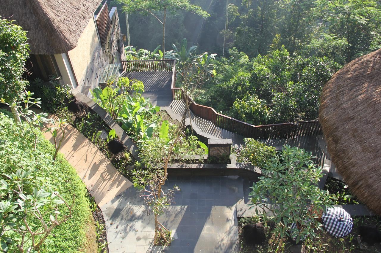 Tejaprana Resort & Spa Ubud  Luaran gambar The path to the viewing platform