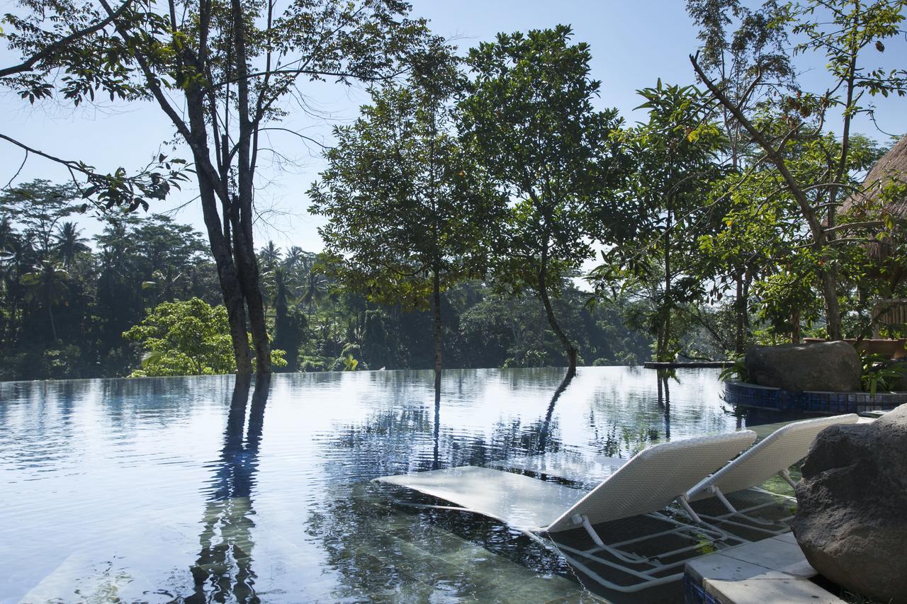 Tejaprana Resort & Spa Ubud  Luaran gambar The flooded park