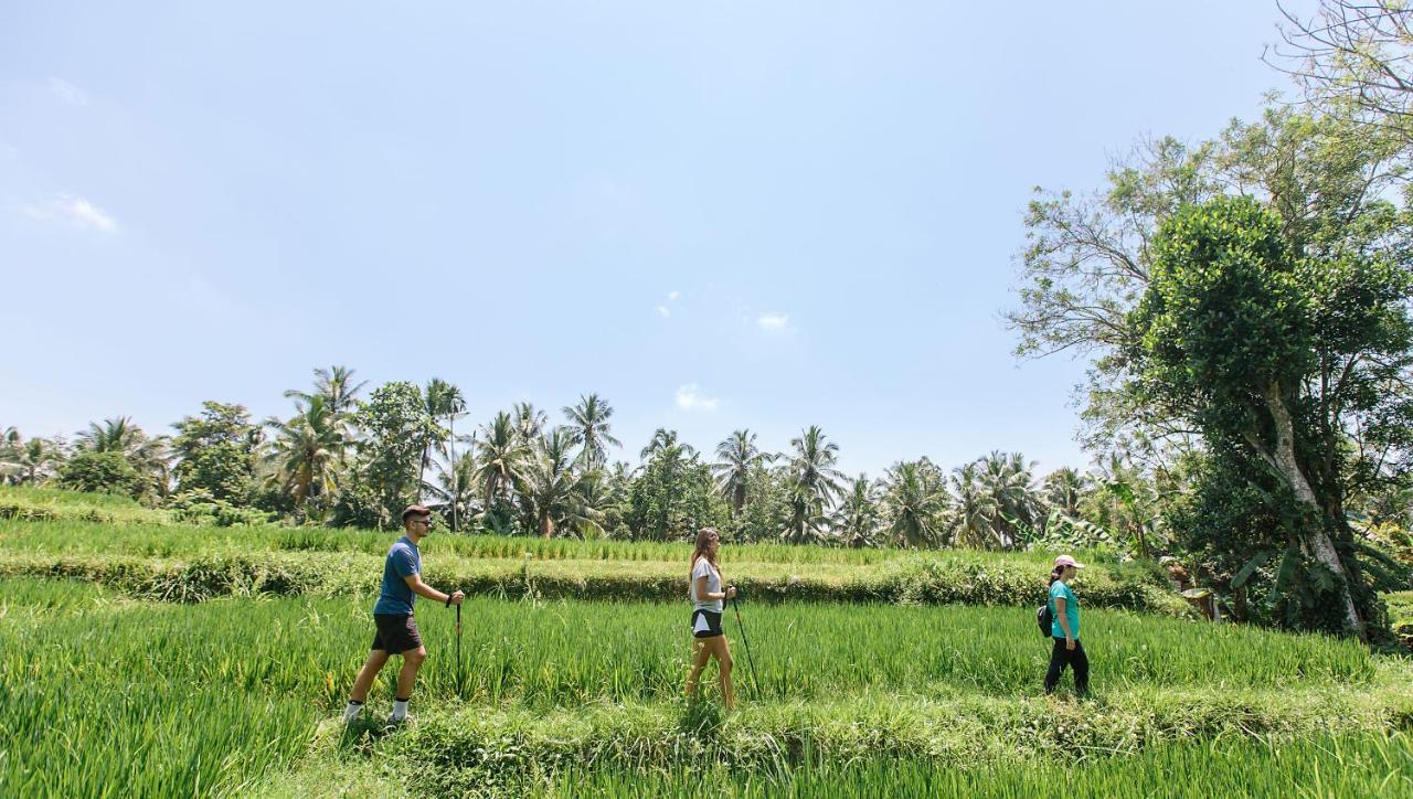 Tejaprana Resort & Spa Ubud  Luaran gambar Trekking in Bali